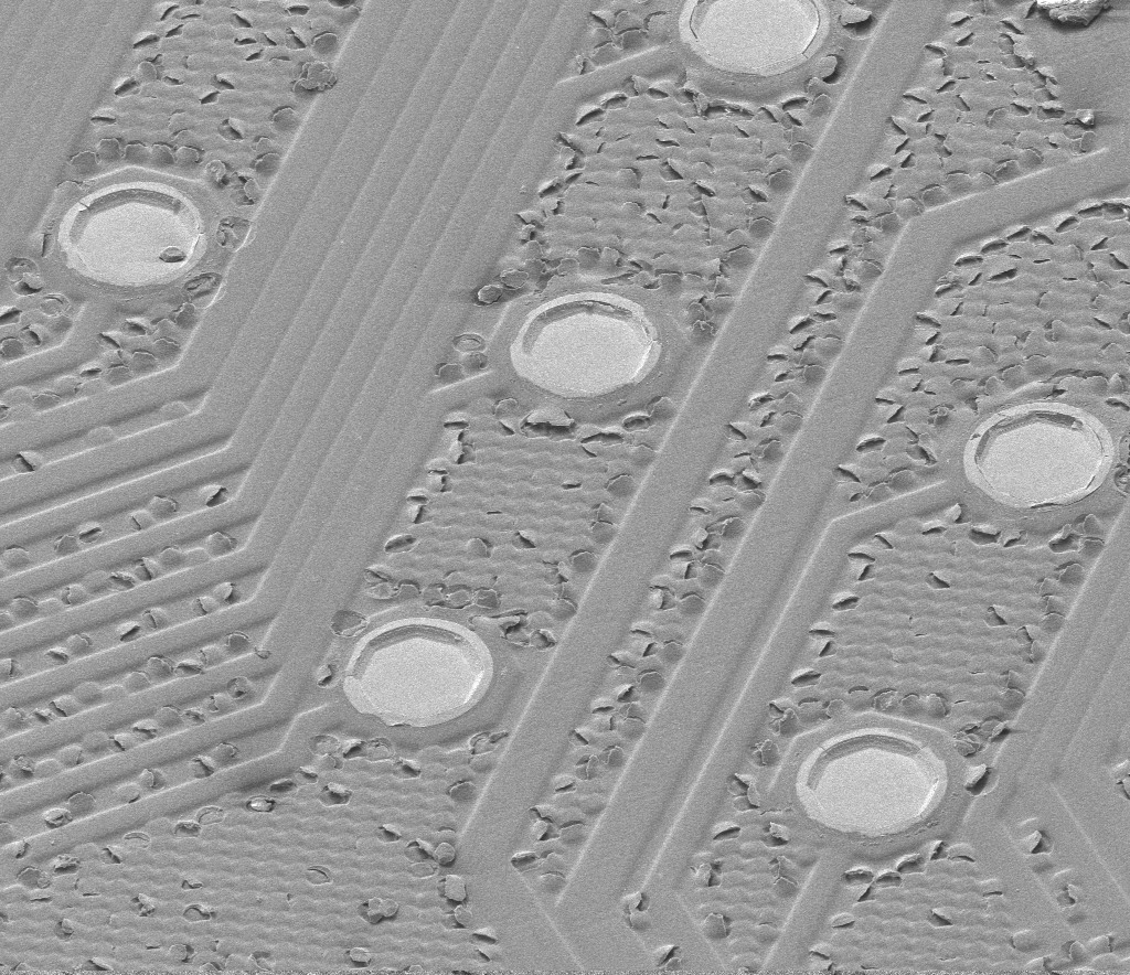 SEM image of deprocessed interconnects, source label A4_SEM_02