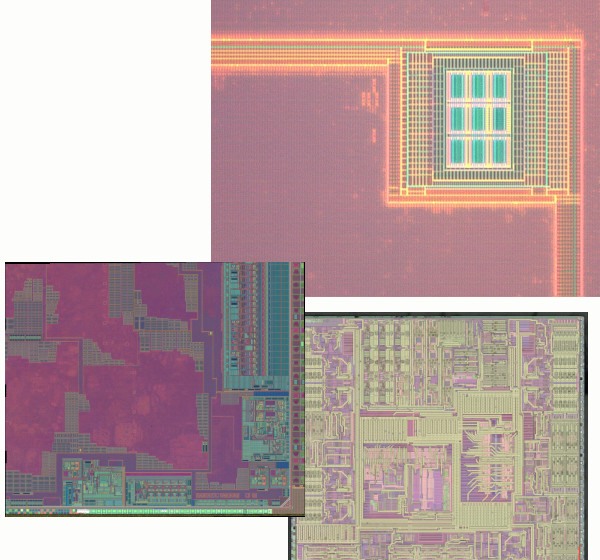 Montage of silicon die and die-mark microscope images